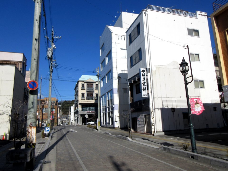 Okazaki-Renjakudori-5