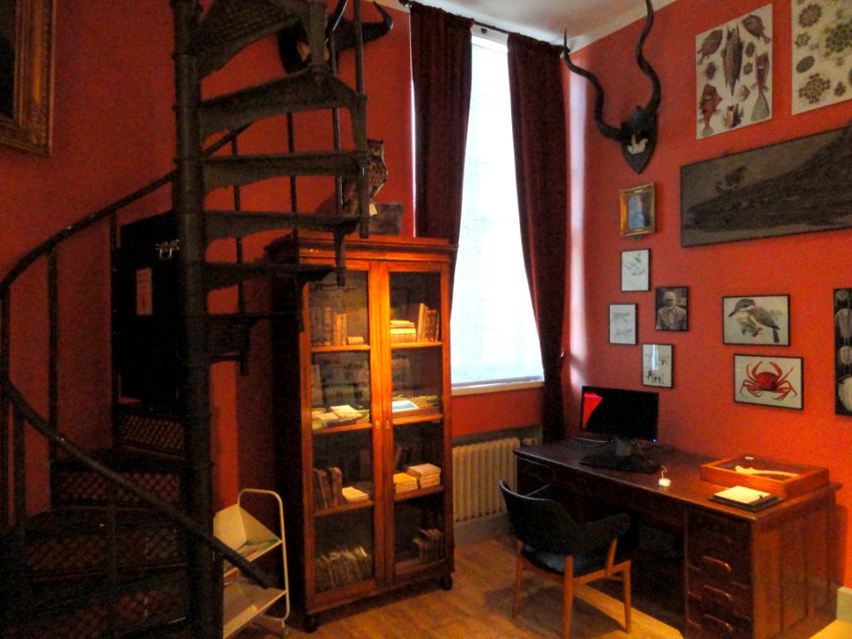 Old study - Finnish Museum of Natural History - DSC04547