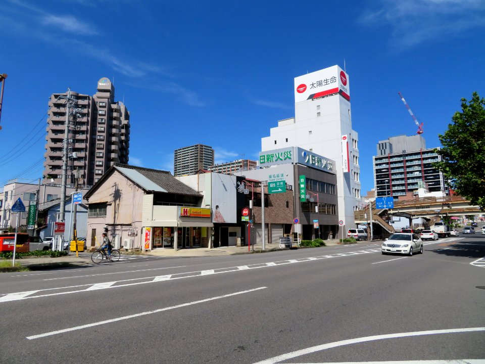 Okazaki-Koseidoriminami-2