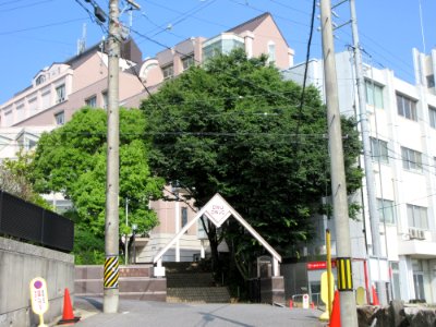Okazaki-Women's-University-2