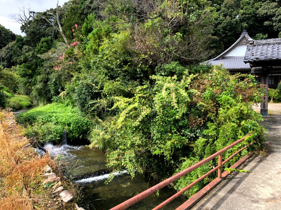 Okazaki-Kochuji-3