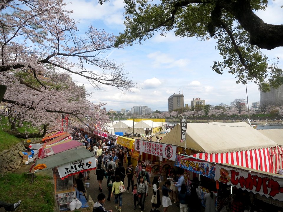 Okazaki-Park-Sakuramatsuri-1