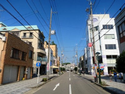 Okazaki-Renjakudori-1