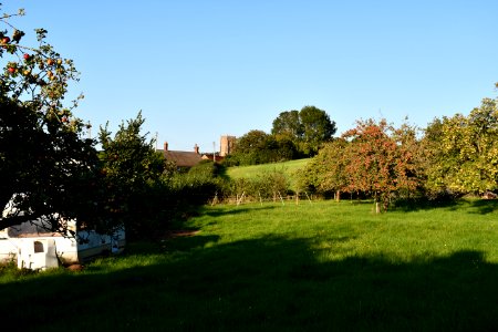 Old Cleeve (2020-09-14) 02