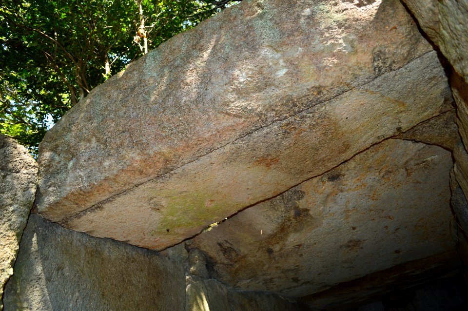 Oko Kofun Group-8, zenshitsu-4