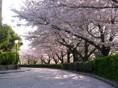 Okazaki-Chuo-Sogo-Park-2