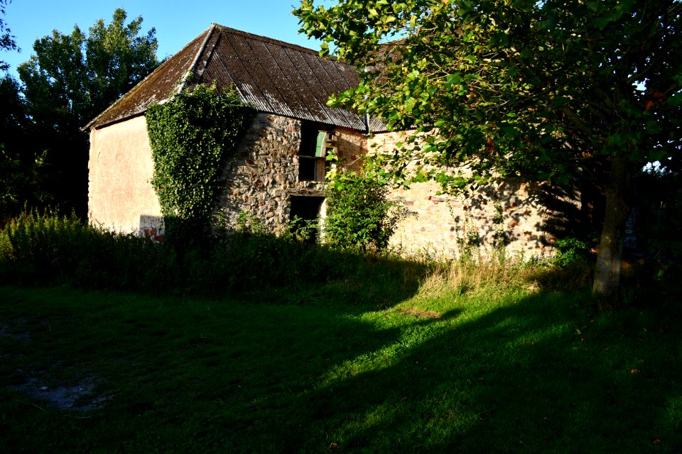 Old Cleeve (2020-09-14) 10