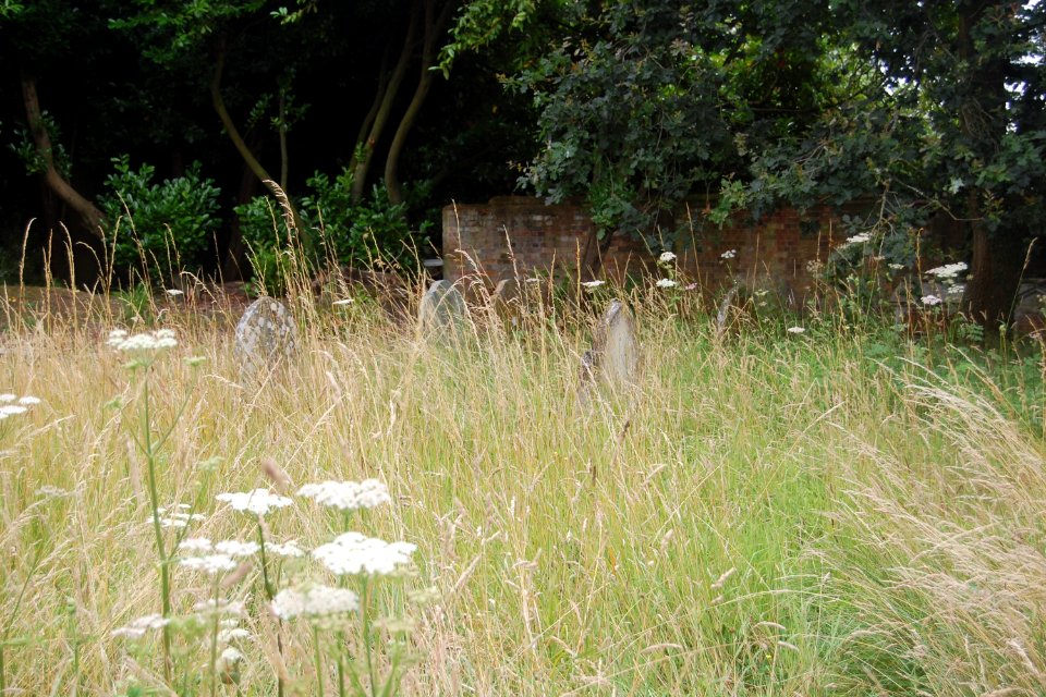 Old Church of St John, Greatham (NHLE Code 1094474) (July 2019) (Churchyard)