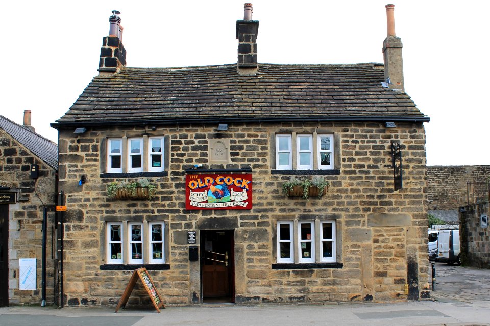 Old Cock