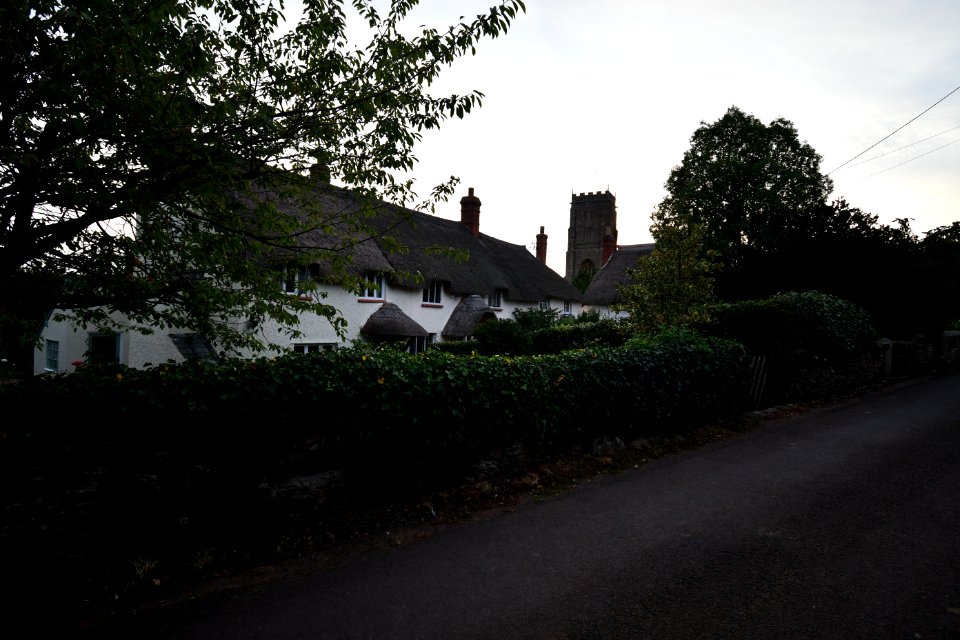 Old Cleeve (2020-09-15) 12