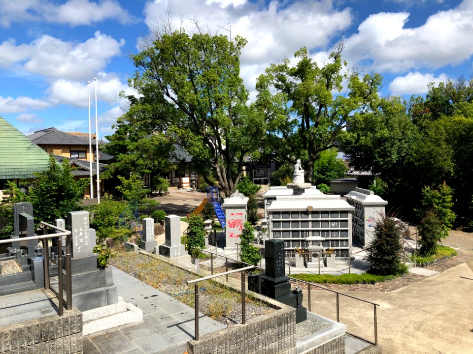 Okazaki-Ryukaiin-5