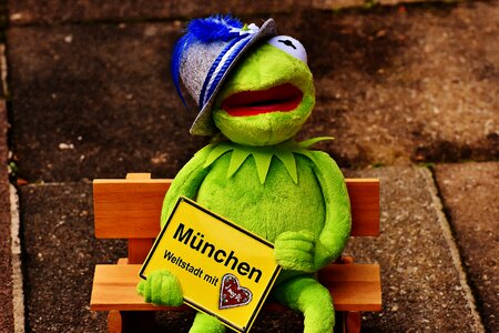 Kermit hat frog