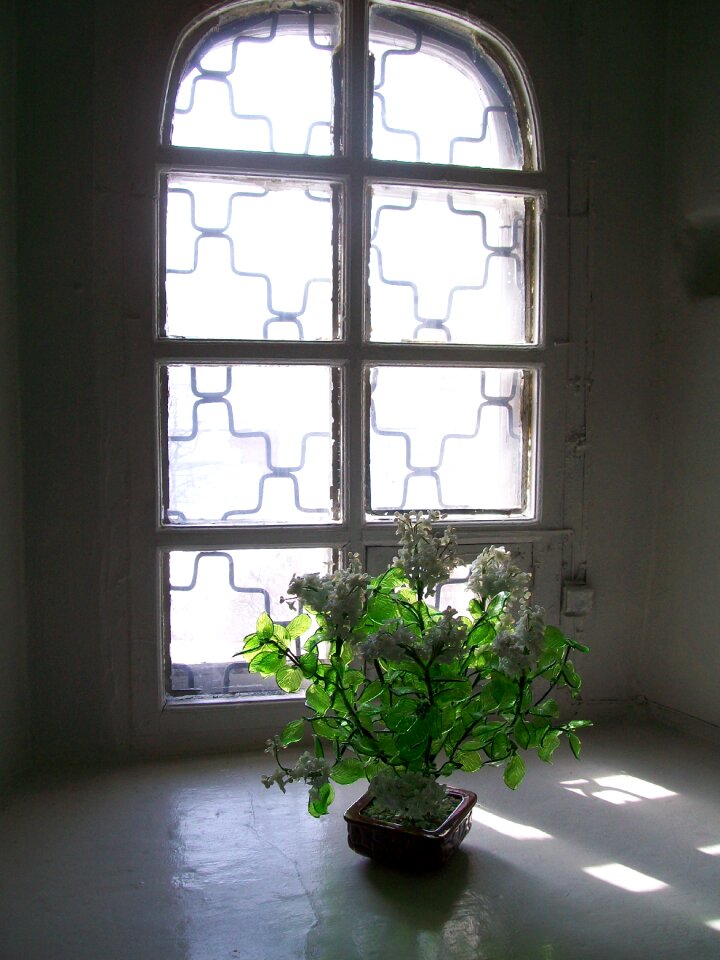 Flower sun window