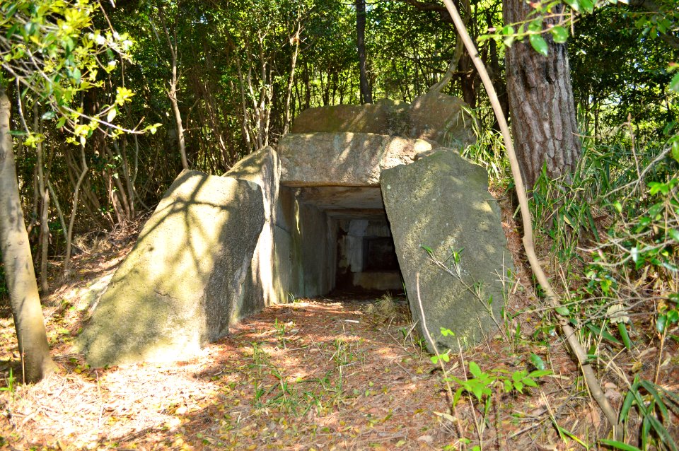 Oko Kofun Group-8, entrance-1