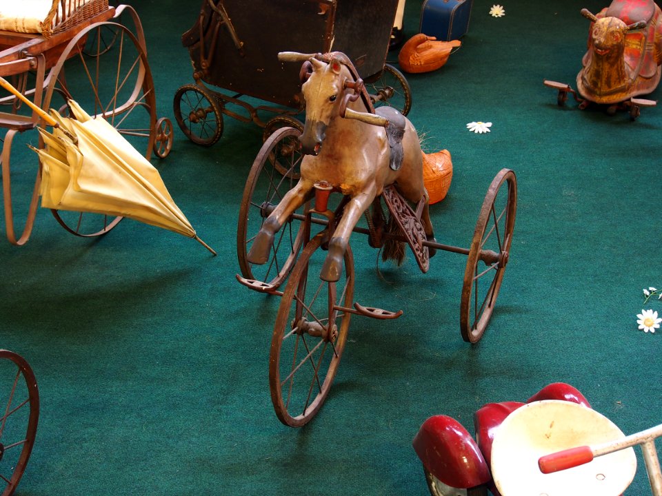 Old Children's tricycle as a horse pic1
