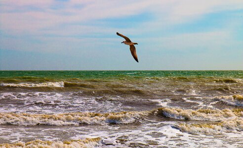 Water summer sky photo