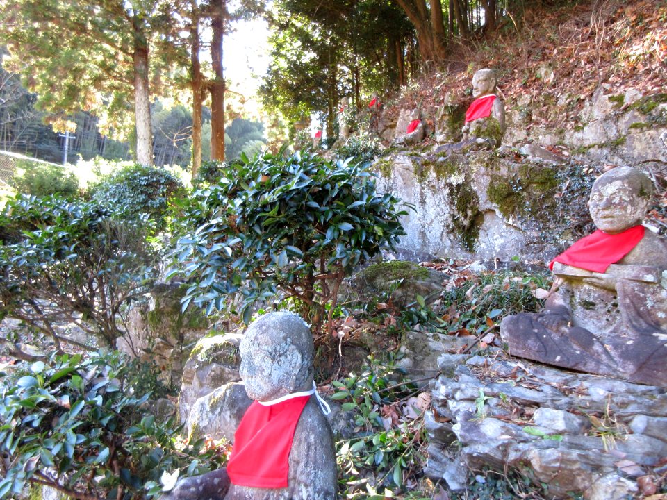 Okazaki-Ryukeiin-2