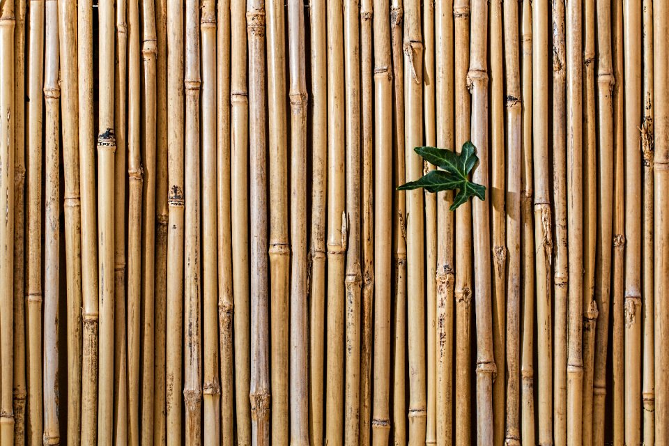 Wallpaper texture repeating pattern