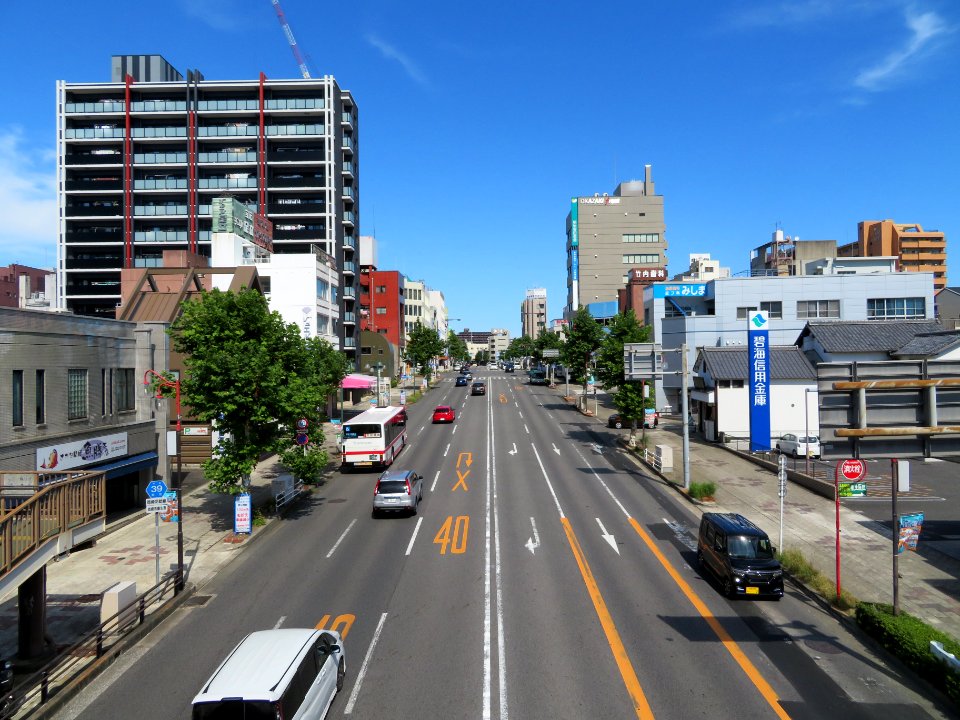 Okazaki-Koseidoriminami-1