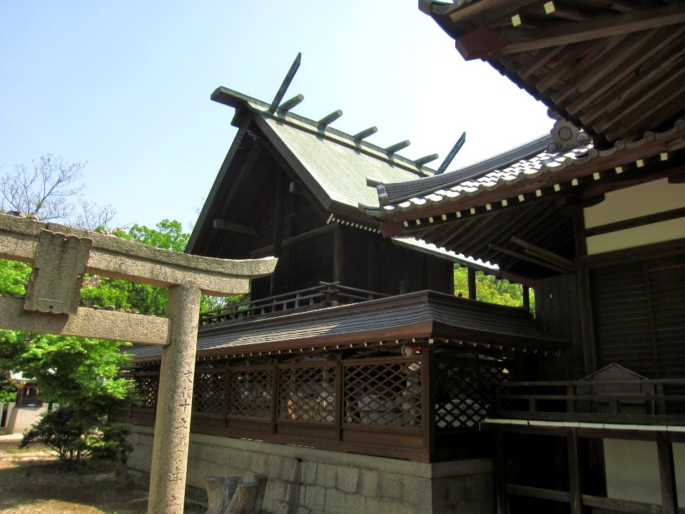 Ohari-jinja honden