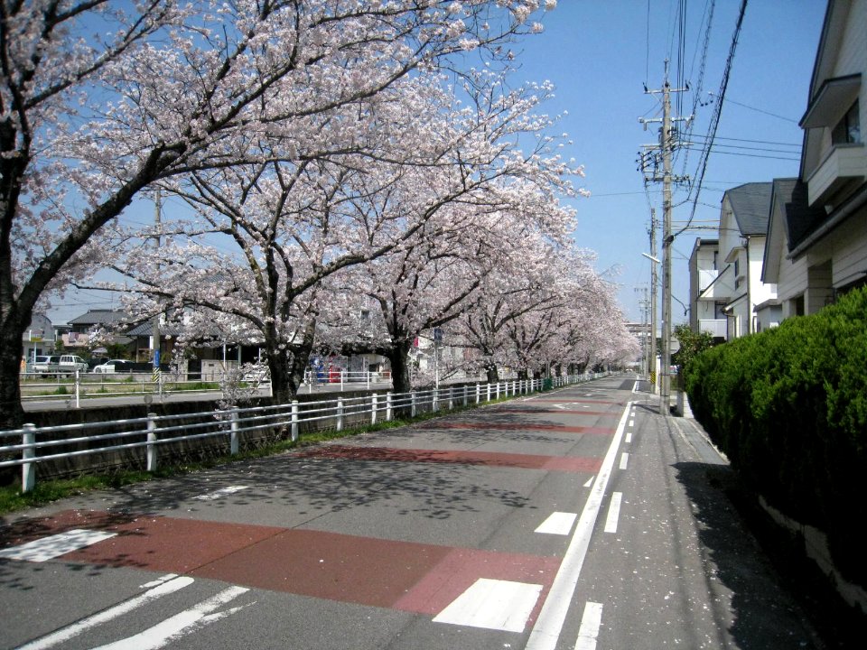 Okazaki-Yabuta-1