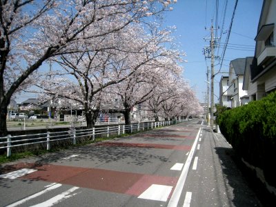 Okazaki-Yabuta-1