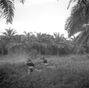Oefening in het veld op Malakka, Bestanddeelnr 255-8397