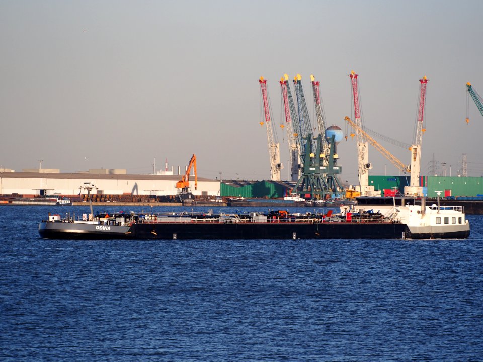Odina (ship, 2006) ENI 02319190 Port of Antwerp pic1