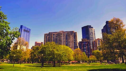 Urban buildings cityscape
