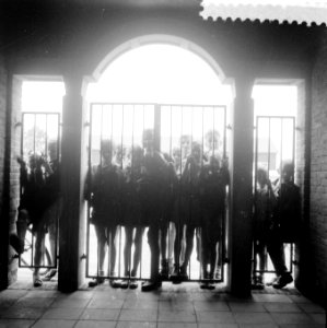 Oefenen Nederlands elftal in Den Bosch, Bestanddeelnr 908-9599