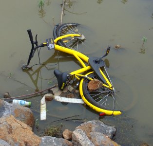 Ofo bike in a lake - 01