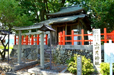 Ogawatsuki-jinja honden-2 photo