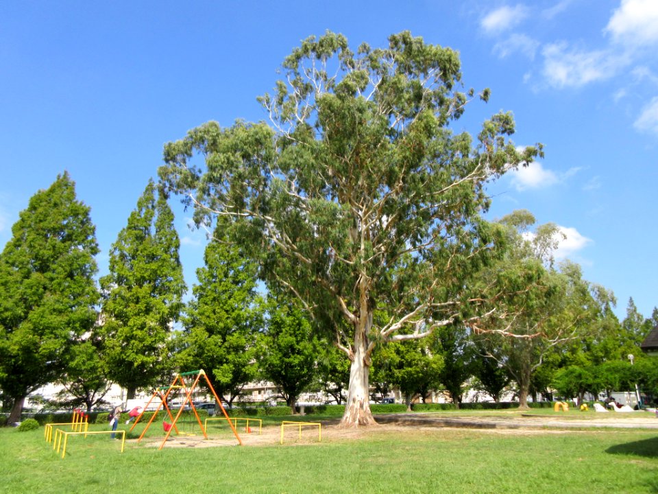 Okazaki-Sanbyakuda-Park-1