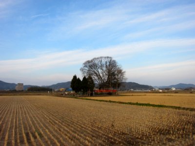 Ogawatsuki-jinja enkei