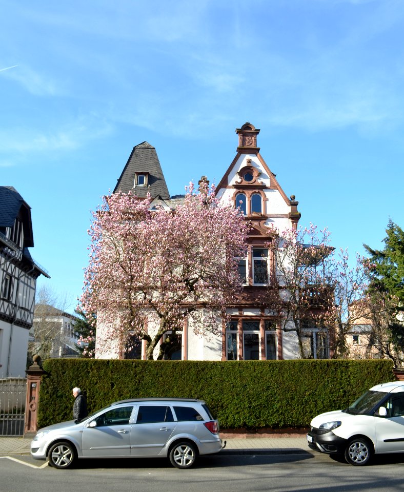 Offenbach, Bismarckstraße 63