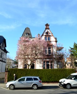 Offenbach, Bismarckstraße 63
