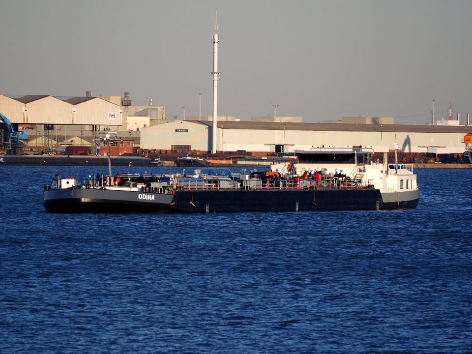 Odina (ship, 2006) ENI 02319190 Port of Antwerp pic2