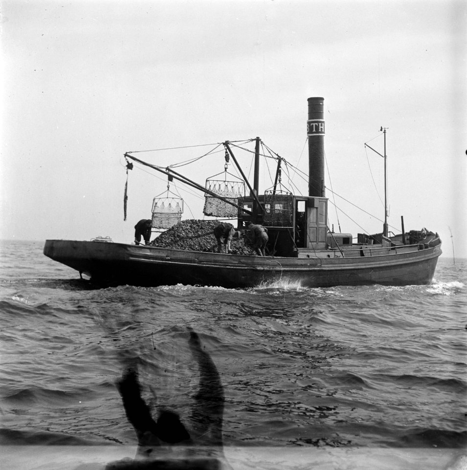 Oesterkwekerij, Bestanddeelnr 902-1222