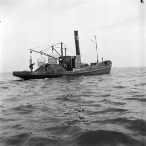 Oesterkwekerij, Bestanddeelnr 902-1216