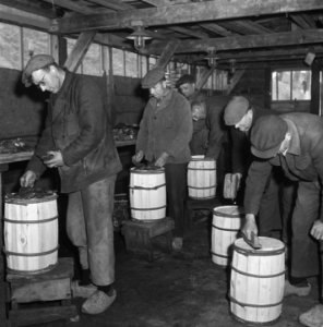 Oesterkwekerij, Bestanddeelnr 902-1221