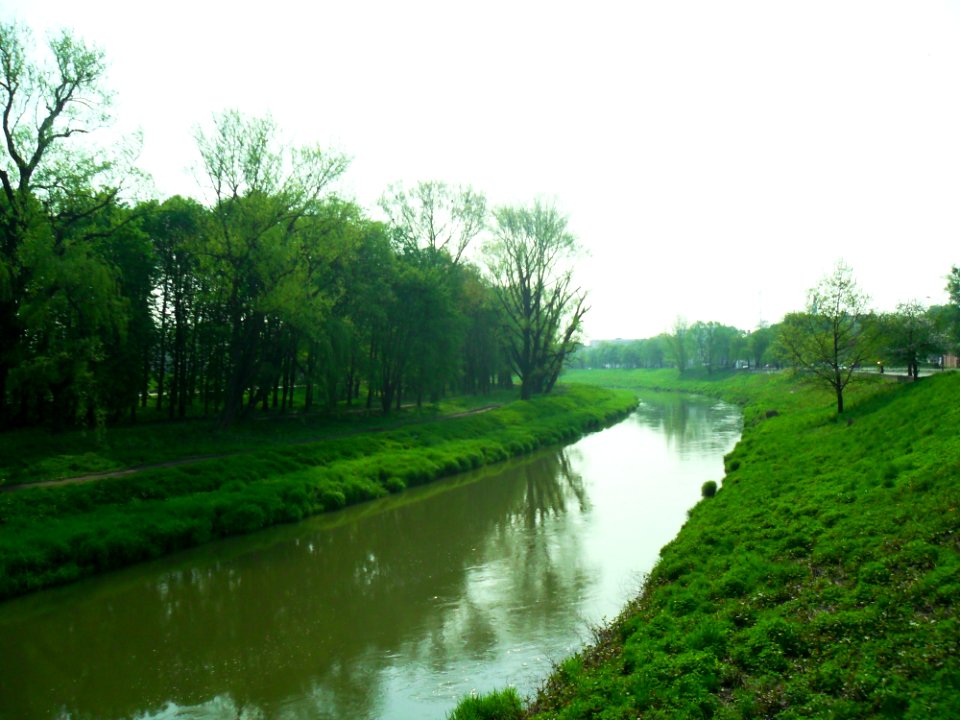 Odra, Racibórz 12