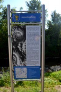Ofterdingen, Ammonitenpflaster, Tafel