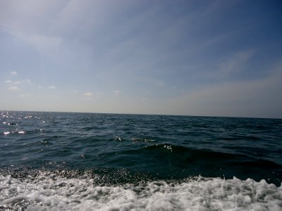 Of Water (214619779)