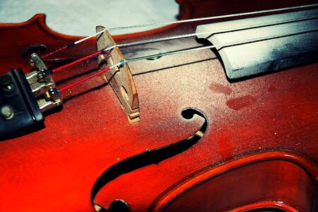 String violin classical music photo