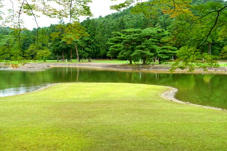 Oizumi ga Ike Pond - Motsuji, Hiraizumi, Iwate - DSC04600