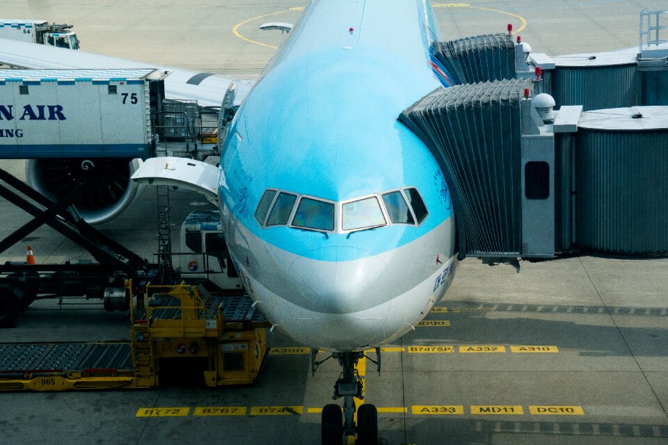 Aircraft cargo pathway