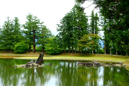 Oizumi ga Ike Pond - Motsuji, Hiraizumi, Iwate - DSC04385