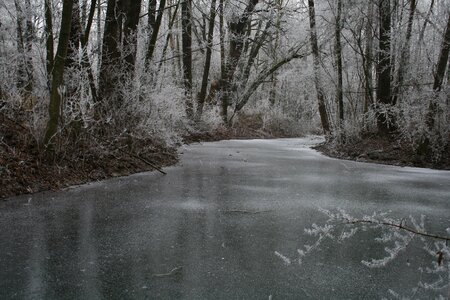 Winter cold frost