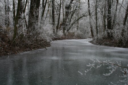 Winter cold frost photo