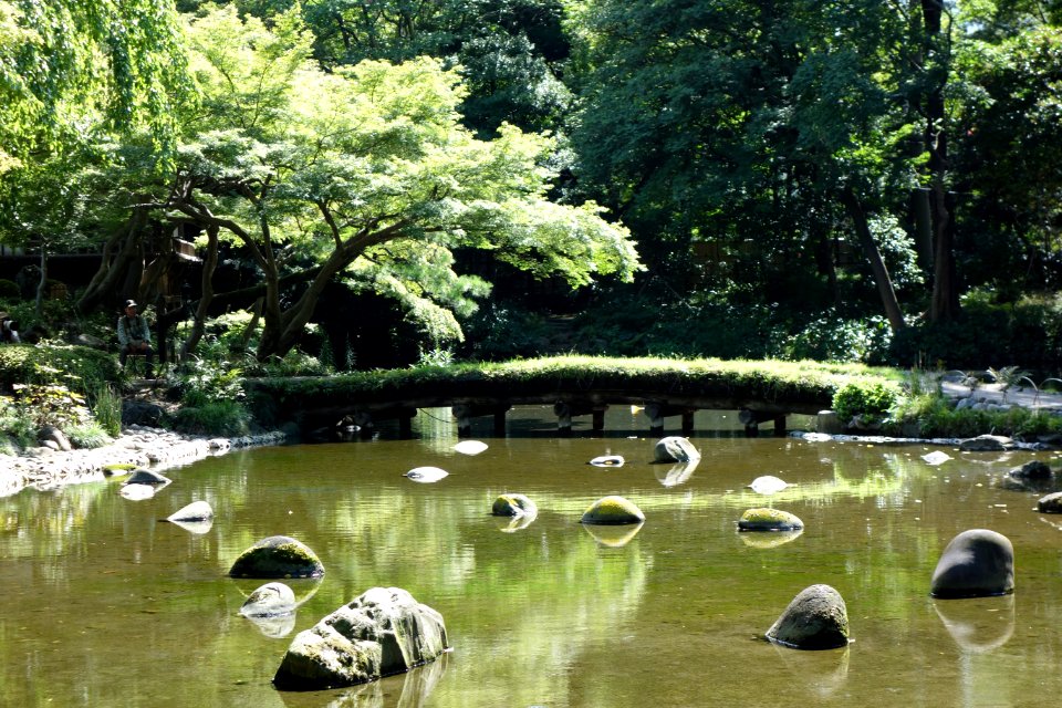 Oigawa river - Koishikawa Korakuen - DSC09296